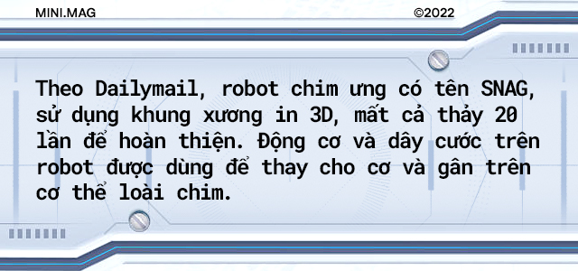 Giờ đây các nhà khoa học đã có thể chế tạo ra một con robot sở hữu khả năng bay lượn và hạ cánh như loài chim! - Ảnh 2.