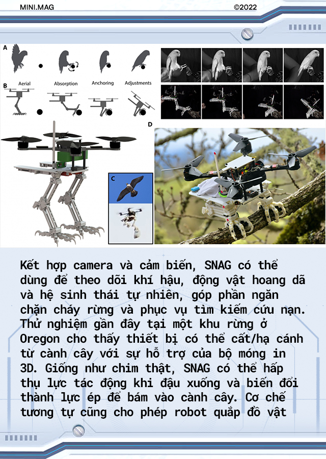 Giờ đây các nhà khoa học đã có thể chế tạo ra một con robot sở hữu khả năng bay lượn và hạ cánh như loài chim! - Ảnh 8.