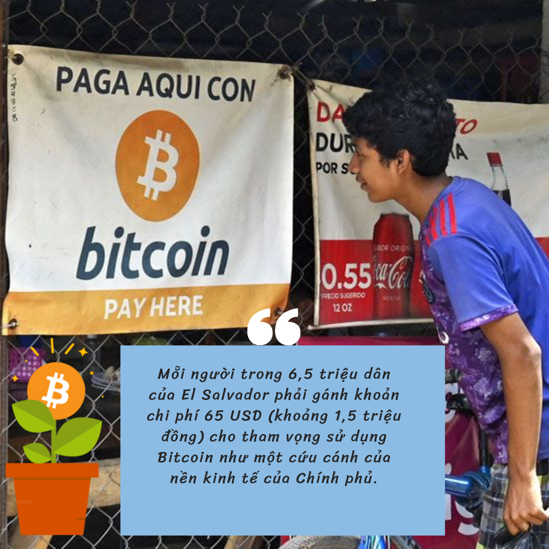 Tổng thống mang gần nửa tỷ USD quốc khố đặt vào 'canh bạc' Bitcoin, mỗi người dân El Salvador phải 'gánh' bao nhiêu tiền? - Ảnh 1.