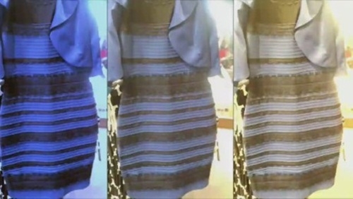 'Trắng xanh' hay 'vàng đen': Cách chiếc váy gây tranh cãi nhất mạng xã hội tạo ra đột phá về khoa học thần kinh - Ảnh 2.