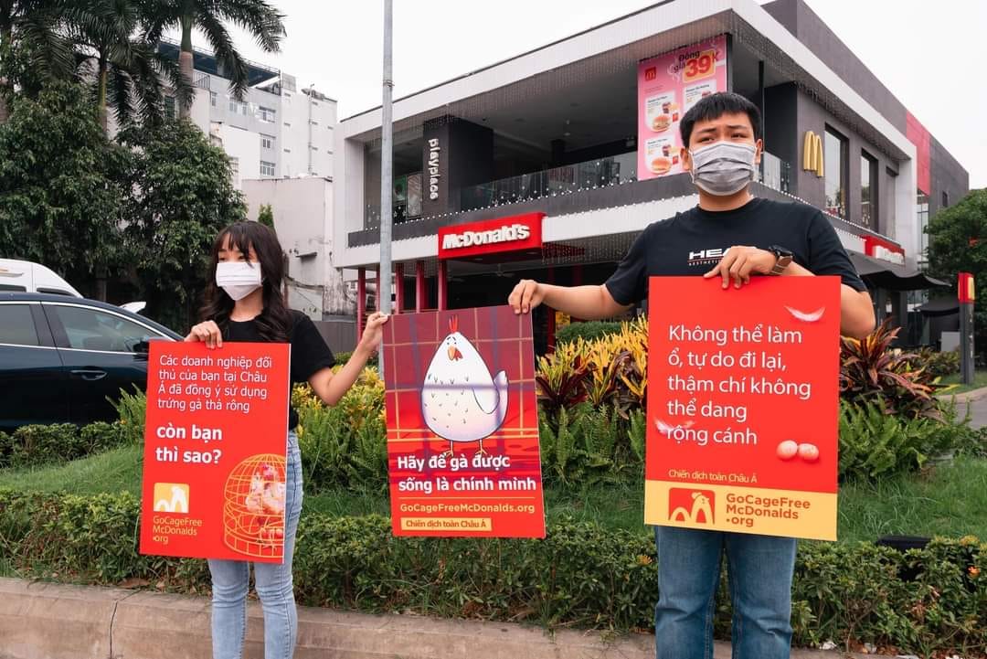 72 tỷ con g&agrave; bị giết thịt mỗi năm, con số sẽ giảm 30% nếu bạn chịu kh&oacute; ăn cả xương của ch&uacute;ng - Ảnh 1.