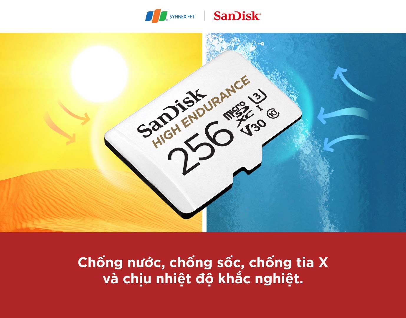 SanDisk High Endurance: Những thông số ấn tượng cho một thẻ ghi hình - Ảnh 1.