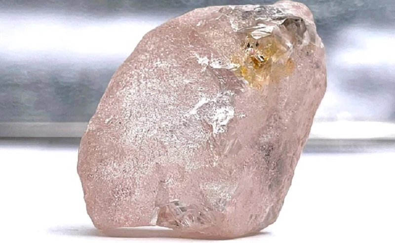 Phát hiện viên kim cương hồng cực hiếm, lớn nhất trong 300 năm - Ảnh 1.