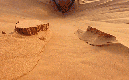 Dùng radar đo độ sâu sa mạc Sahara, các nhà khoa học phát hiện ra "thứ" khổng lồ bên dưới - Ảnh 1.
