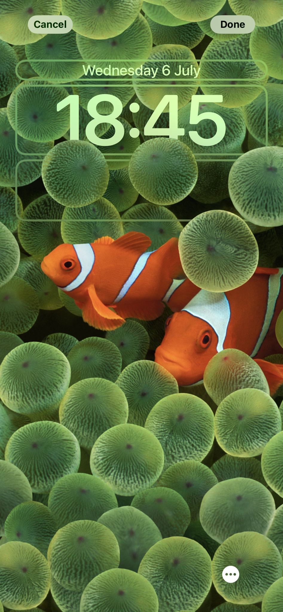Hình nền cá hề đầy màu sắc và vui nhộn sẽ mang đến cho bạn những giây phút giải trí tuyệt vời. Truy cập ngay để cập nhật những hình nền cá hề đầy sáng tạo và tạo nét riêng cho màn hình của bạn!