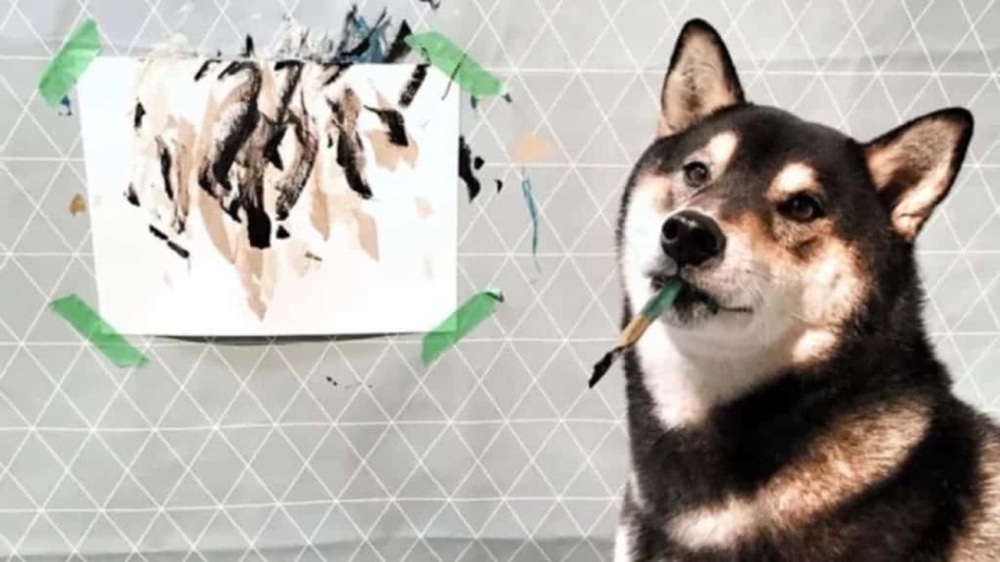 Chú chó có tài vẽ tranh được khắp thế giới đặt mua, giúp chủ kiếm hơn 400 triệu - Ảnh 2.