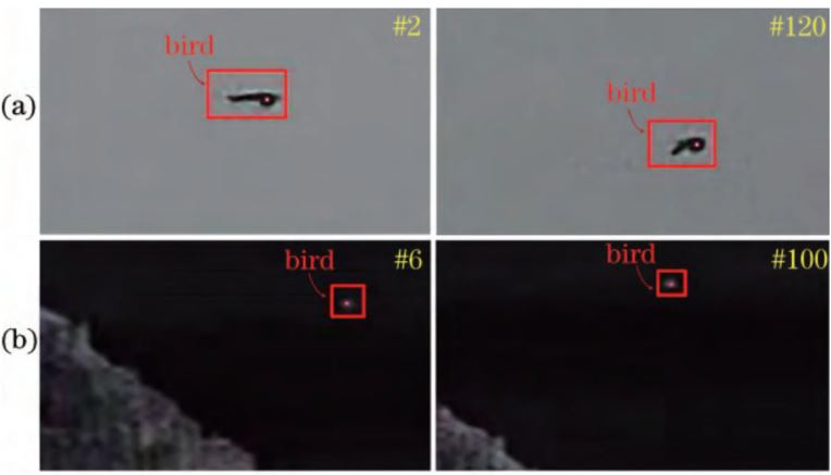 Các nhà khoa học Trung Quốc chế tạo tia laser đuổi chim để bảo vệ sân bay - Ảnh 2.