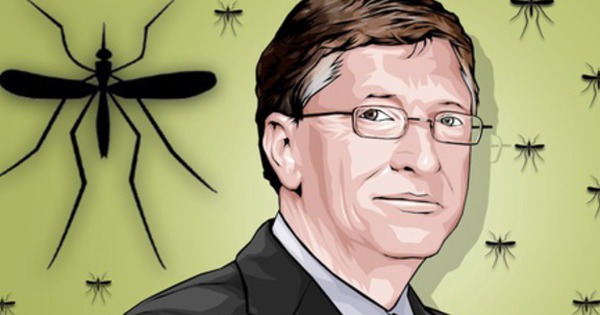 'Nhà máy' tạo ra 30 triệu con muỗi mỗi tuần, được Bill Gates khen ngợi - Ảnh 1.