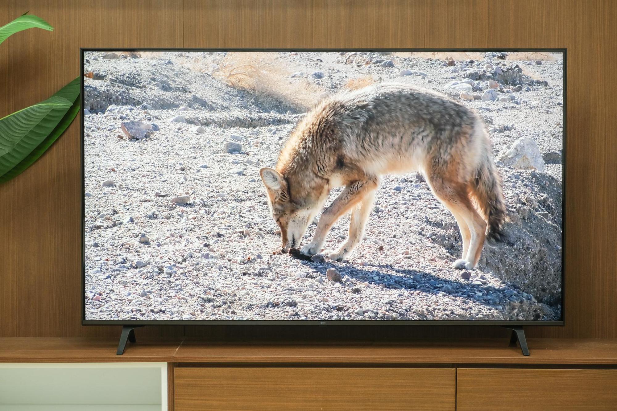 Người dùng nhận định về TV LG UHD 2022: Ngập tràn công nghệ nhưng mức giá vẫn phải chăng - Ảnh 2.