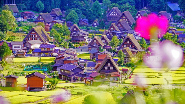 Ghé thăm ngôi làng cổ tích đẹp như trong mơ của Nhật Bản, quê hương của mèo máy Doraemon - Ảnh 11.