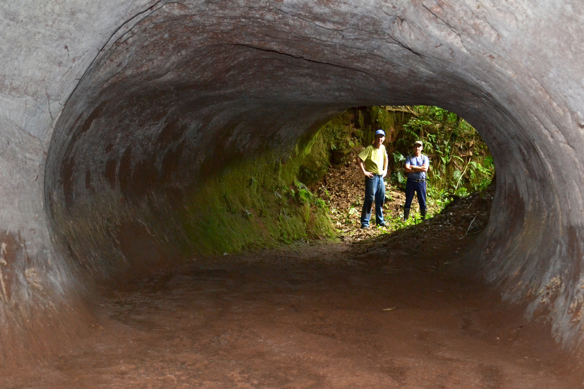 Tìm thấy 10.000 đường hầm 13.000 tuổi: Không phải do người, 'tác giả' là loài khổng lồ này - Ảnh 2.
