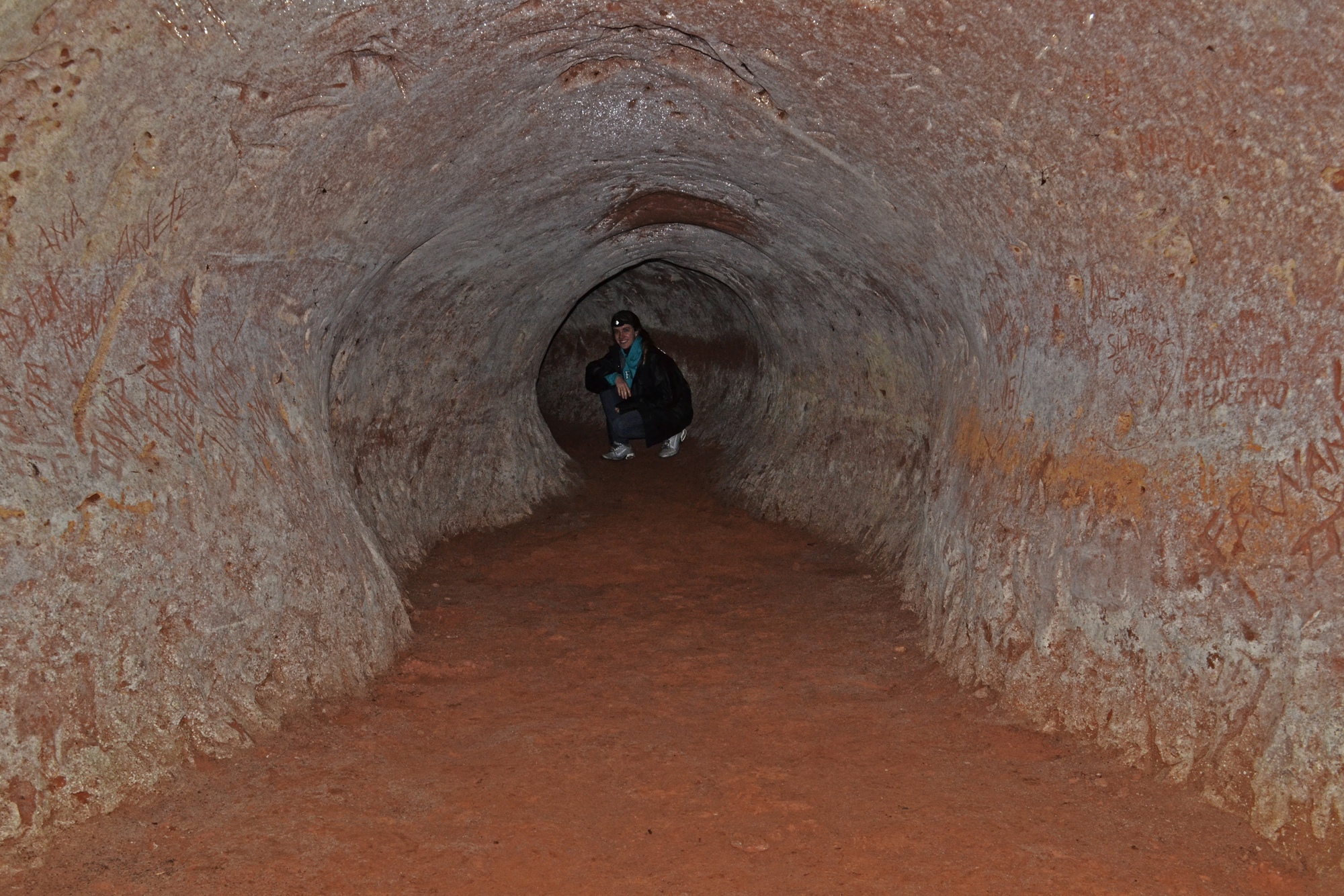 Tìm thấy 10.000 đường hầm 13.000 tuổi: Không phải do người, 'tác giả' là loài khổng lồ này - Ảnh 5.
