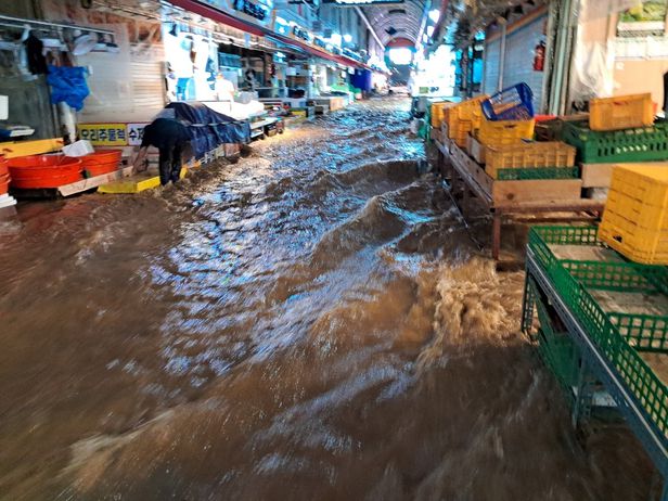 Chùm ảnh: Seoul 'xung quanh toàn là nước' trong trận mưa lớn nhất 80 năm qua, hàng loạt người phải rời bỏ nhà cửa - Ảnh 10.