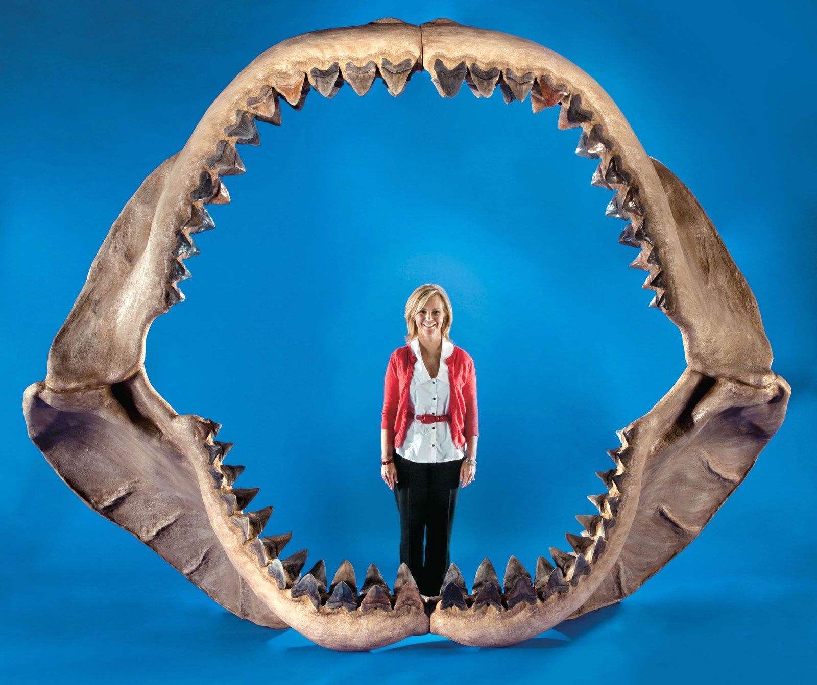 Điều gì sẽ xảy ra nếu loài cá mập Megalodon chưa bao giờ tuyệt chủng?