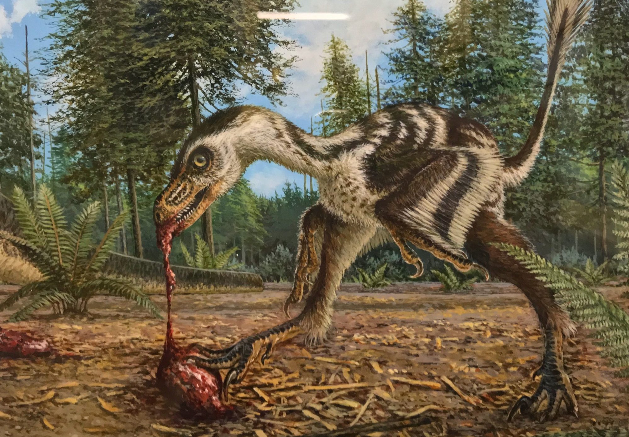 Những loài khủng long ăn thịt độc, lạ mà bạn chưa từng nghe tên tới - Ảnh 6.