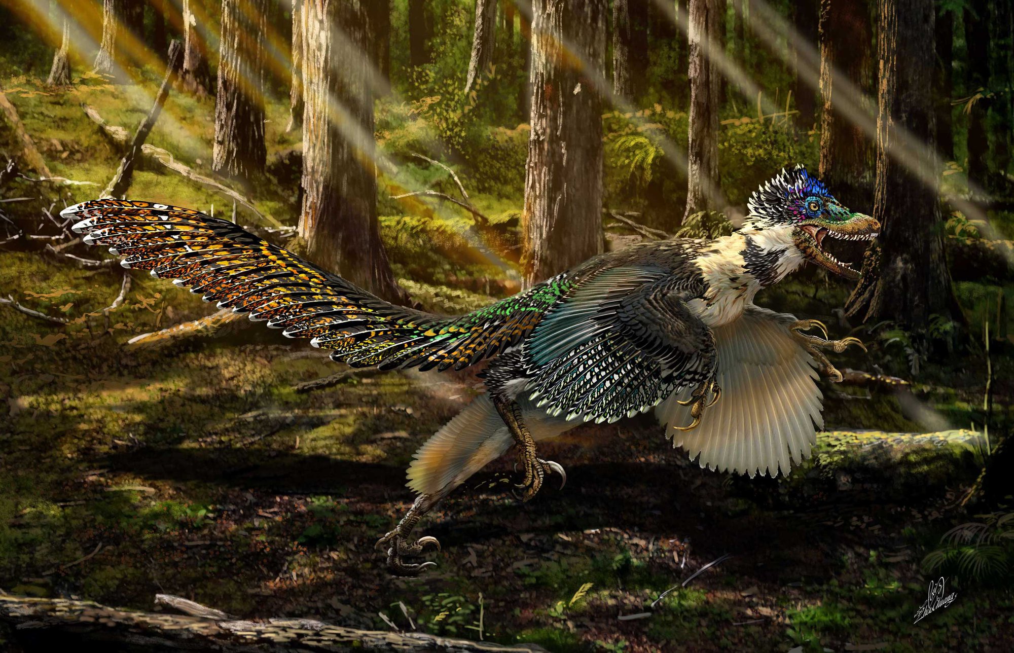Những loài khủng long ăn thịt độc, lạ mà bạn chưa từng nghe tên tới - Ảnh 1.
