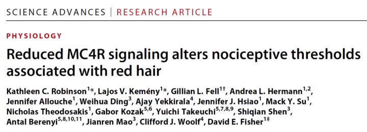 Tại sao những người có mái tóc đỏ lại có khả năng chịu đau tốt hơn những người khác? - Ảnh 2.
