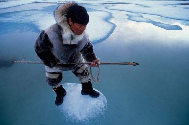 Công nghệ nguyên thủy: Bí ẩn về những chiếc lao làm từ gạc tuần lộc của người Inuit - Ảnh 7.
