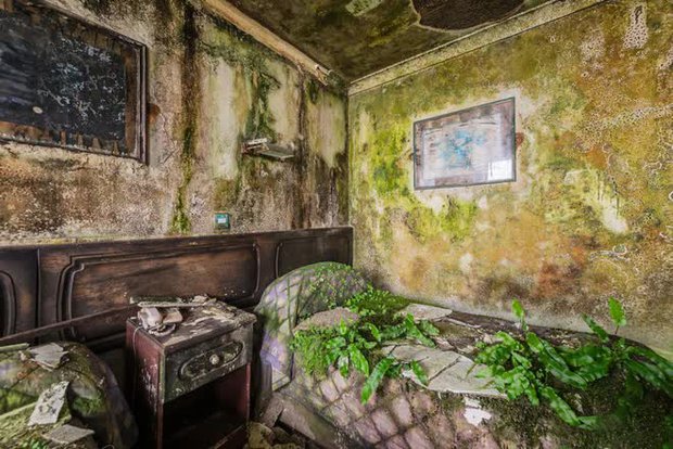  Khám phá bên trong khách sạn bị bỏ hoang tại Ireland, nơi khung cảnh được bao trùm bởi thảm thực vật - Ảnh 5.