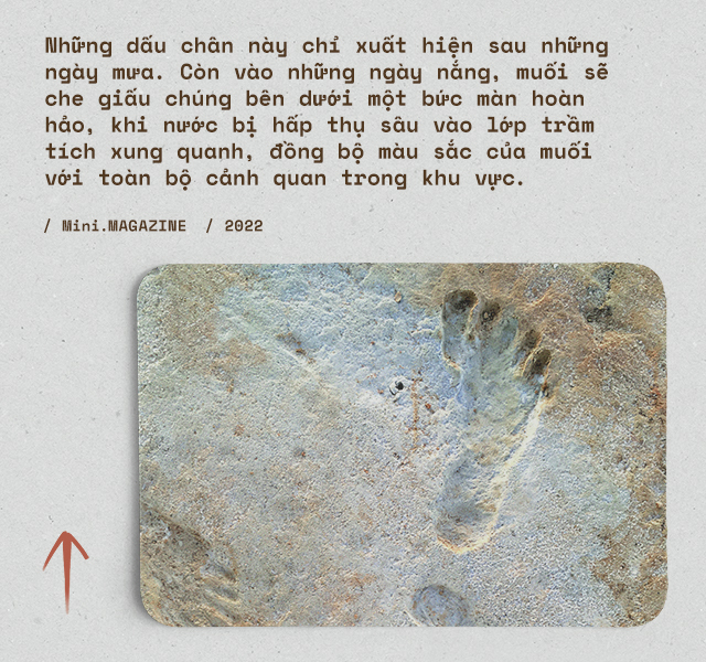 Không quân Mỹ phát hiện những &quot;dấu chân ma&quot; trên sa mạc: Họ đã vẽ lại cuộc sống của những linh hồn chúng thuộc về - Ảnh 8.
