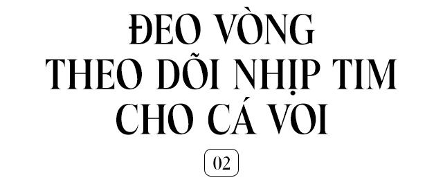 [mini] Lắng nghe nhịp đập trái tim của loài động vật lớn nhất từng tồn tại trên Trái Đất - Ảnh 9.