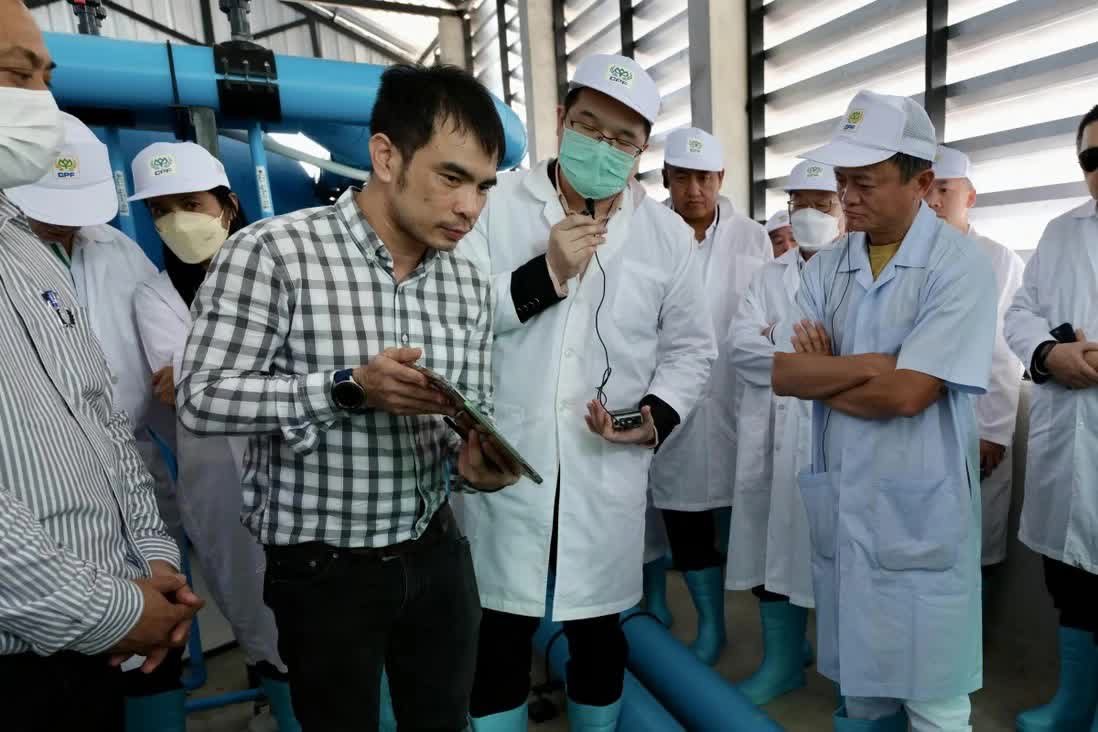 Từ bỏ giới công nghệ, Jack Ma chuyển hướng sang nuôi cá và trồng rau - Ảnh 3.
