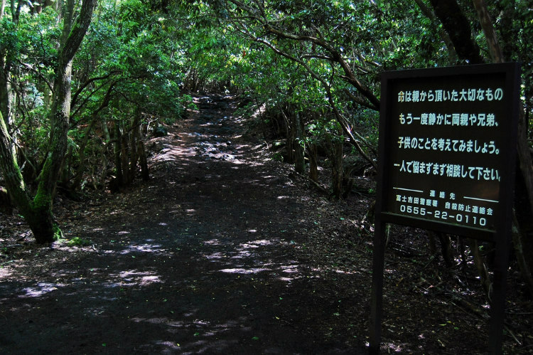 Aokigahara: Khu rừng tự sát, bí ẩn bậc nhất của Nhật Bản - Ảnh 4.
