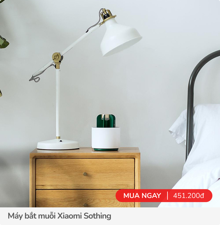 4 kiểu đồ Xiaomi đáng mua sau Tết, có 1 thứ người miền Bắc rất nên dùng trong mùa này - Ảnh 8.