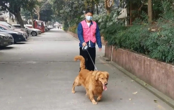 Góc việc nhàn lương hậu hĩnh dịp Tết: Dắt thú cưng đi dạo, chàng trai 26 tuổi kiếm hơn 60 triệu đồng chỉ trong 10 ngày nghỉ - Ảnh 3.