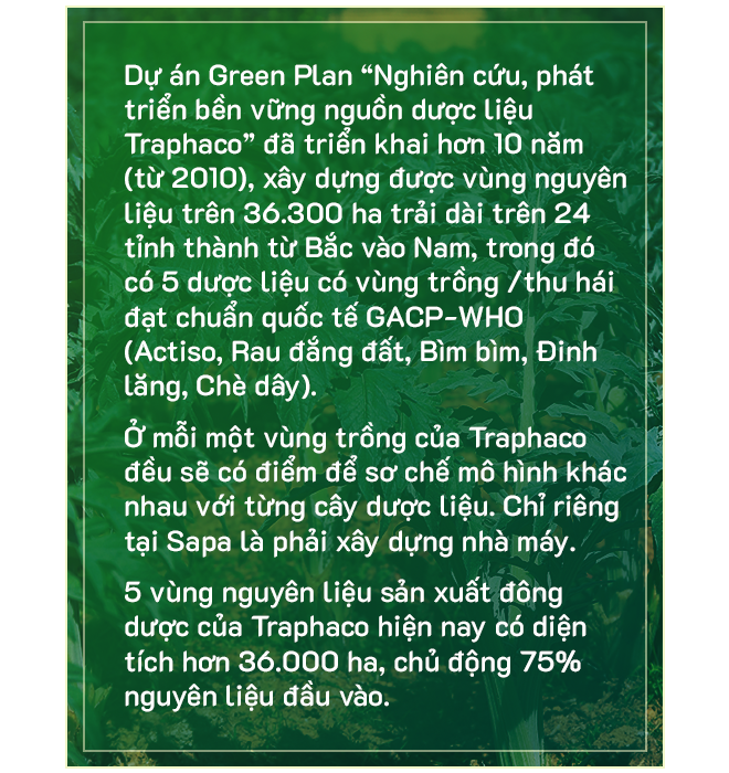 “Người tự đi đày” ở Traphaco và khát khao “đưa thảo dược lên bàn ăn, vào tour du lịch” - Ảnh 4.