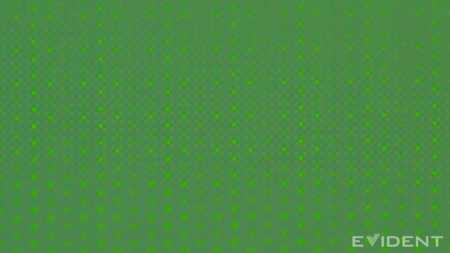 Ảnh phóng to 1640x cho thấy mỗi ô vuông nhỏ chứa 2x2 photosite, hay còn gọi là một cụm quad-pixel.jpg