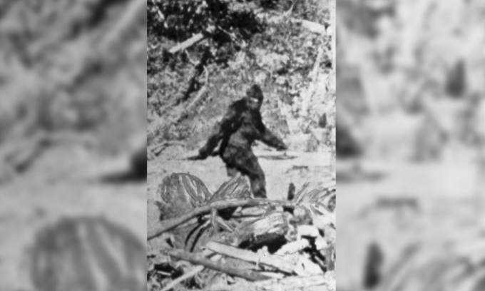 Mỹ: Phát hiện sinh vật mình đầy lông lá ở sườn núi, nghi “quái vật” mất tích gần 150 năm - Ảnh 2.