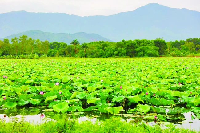 Đi chơi xả láng lại còn gặp toàn ‘sao VBiz’ cuối tuần này tại Hòa Lạc với chỉ 100 nghìn Đồng - Ảnh 8.