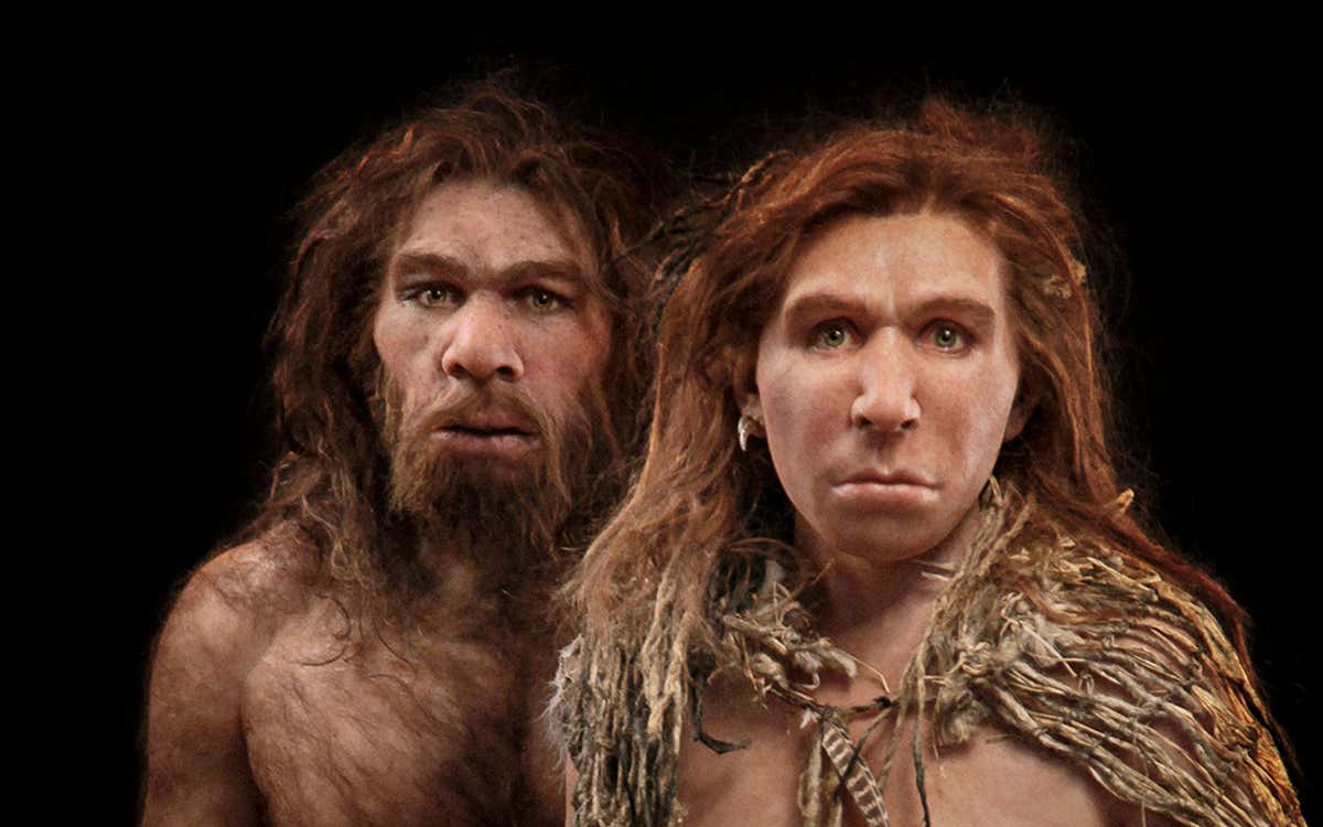 Người Neanderthal thông minh hơn đười ươi và khỉ, vậy tại sao họ lại tuyệt  chủng cách đây 30.000 năm?