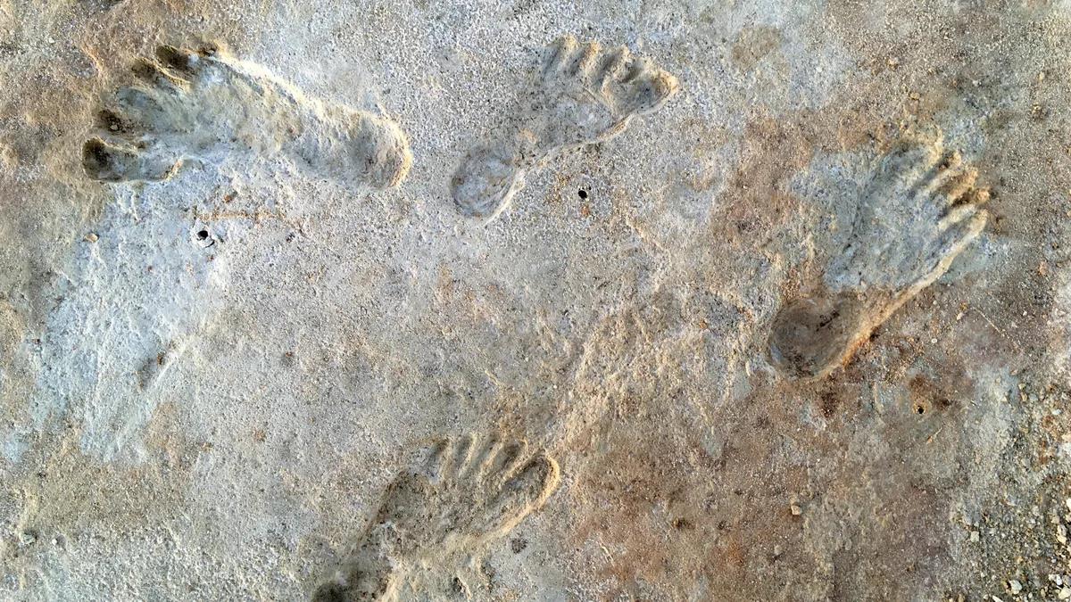 Tìm thấy dấu vết người đầu tiên khai phá Bắc Mỹ: 23.000 năm trước - Ảnh 1.