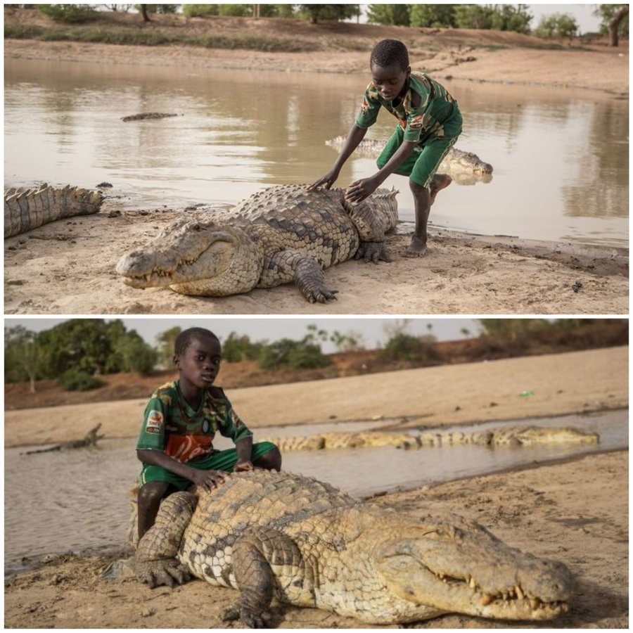 Con người và cá sấu đã chung sống hòa thuận suốt hơn 500 năm qua tại Burkina Faso - Ảnh 1.