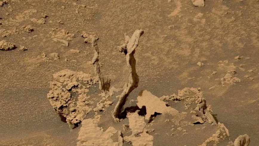 'Rắn hổ mang' kỳ lạ xuất hiện trên Sao Hỏa!- Ảnh 1.