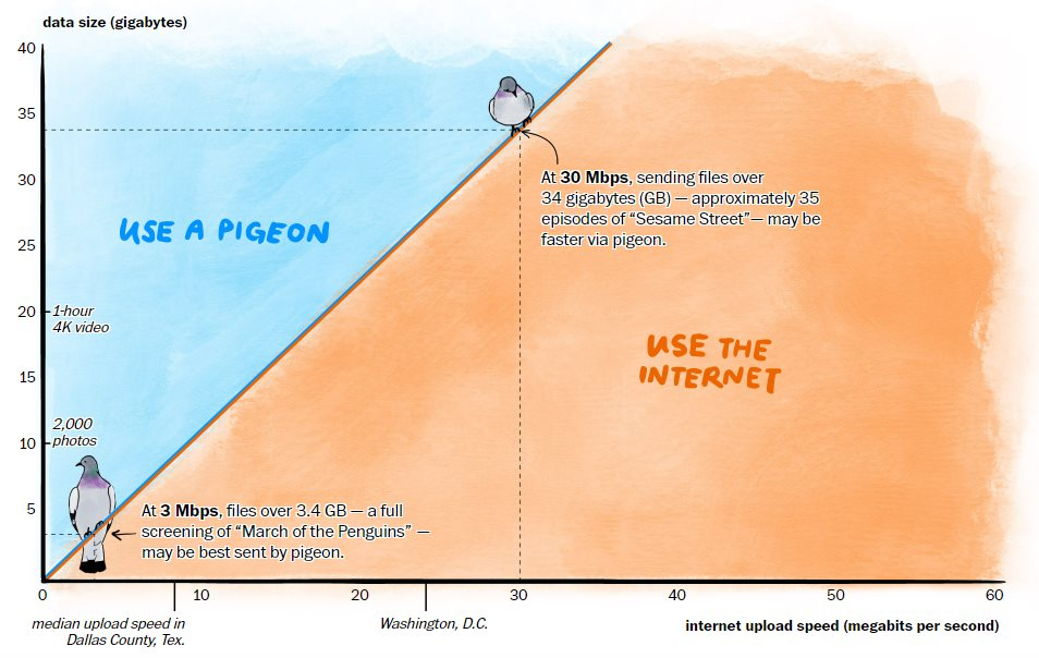 Khó tin: Tốc độ Internet ở vùng nông thôn Mỹ còn chậm hơn cả bồ câu đưa thư- Ảnh 1.