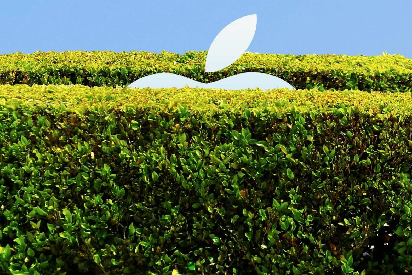 Khu vườn khép kín của Apple đang héo tàn bởi “kẻ hủy diệt” đến từ châu Âu- Ảnh 1.