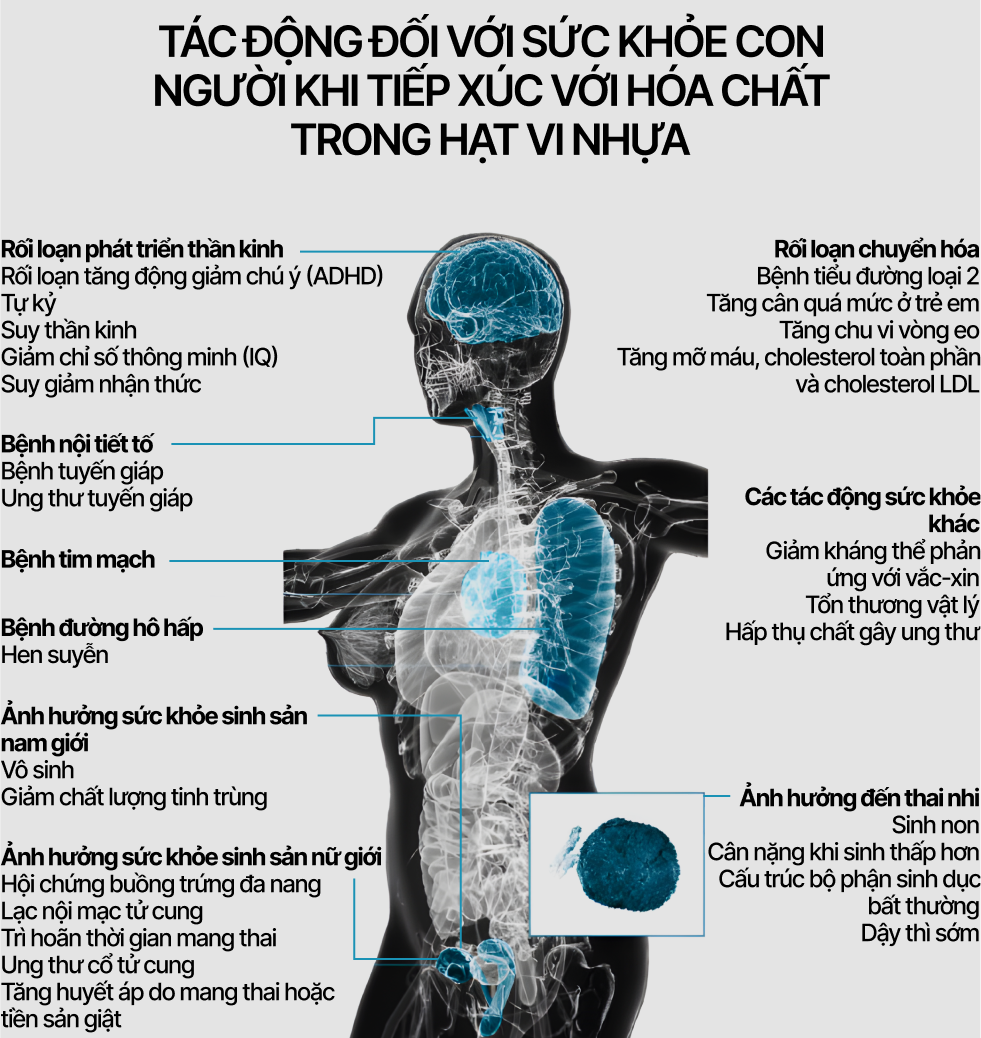 Chúng ta đang hít vào phổi 270 hạt vi nhựa mỗi ngày: Đó là một loại thuốc lá, một dạng mưa axit kiểu mới - Ảnh 16.