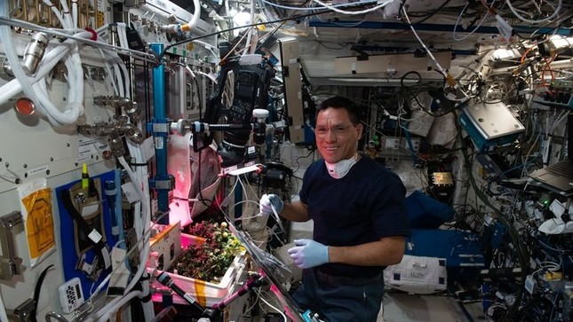 Tìm thấy quả cà chua 'mất tích' suốt 8 tháng trên trạm vũ trụ ISS- Ảnh 1.