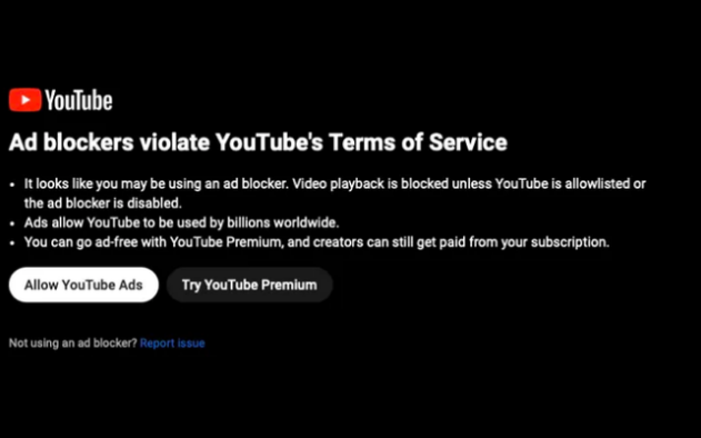 75% người dùng chọn mua trình chặn quảng cáo thay vì YouTube Premium- Ảnh 1.
