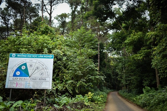 Bất ngờ với trường đại học ở Hà Nội có rừng trong khuôn viên, rộng gấp 9 lần hồ Hoàn Kiếm: Năm nào cũng ghi nhận có chim di cư đến kiếm ăn, sinh sống và làm tổ- Ảnh 2.