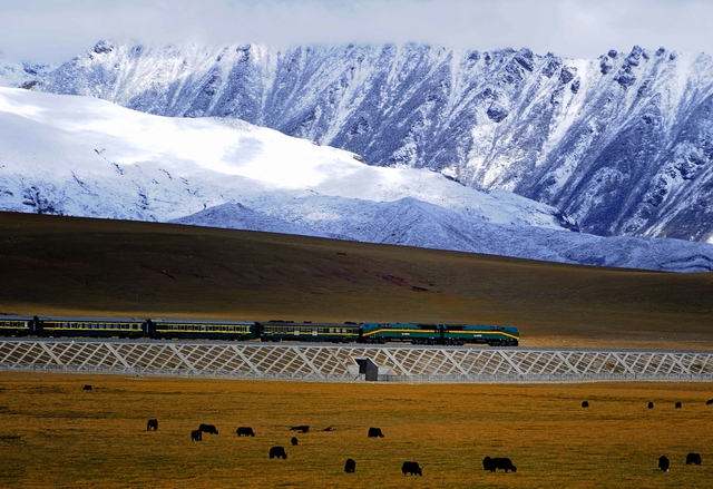 Xây xong đường sắt cao nhất thế giới, Trung Quốc chôn 15.000 cây sắt 2 bên, ở trong chứa thứ "cực độc"- Ảnh 4.