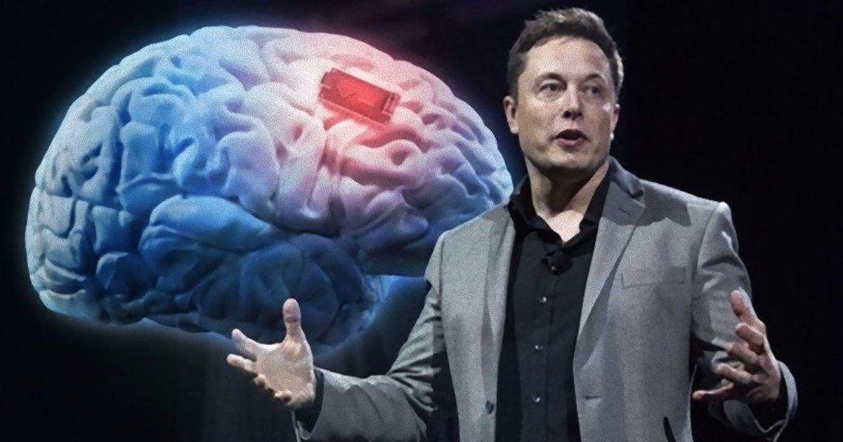 Elon Musk tuyên bố sẽ tự cấy chip não vào cơ thể mình- Ảnh 2.