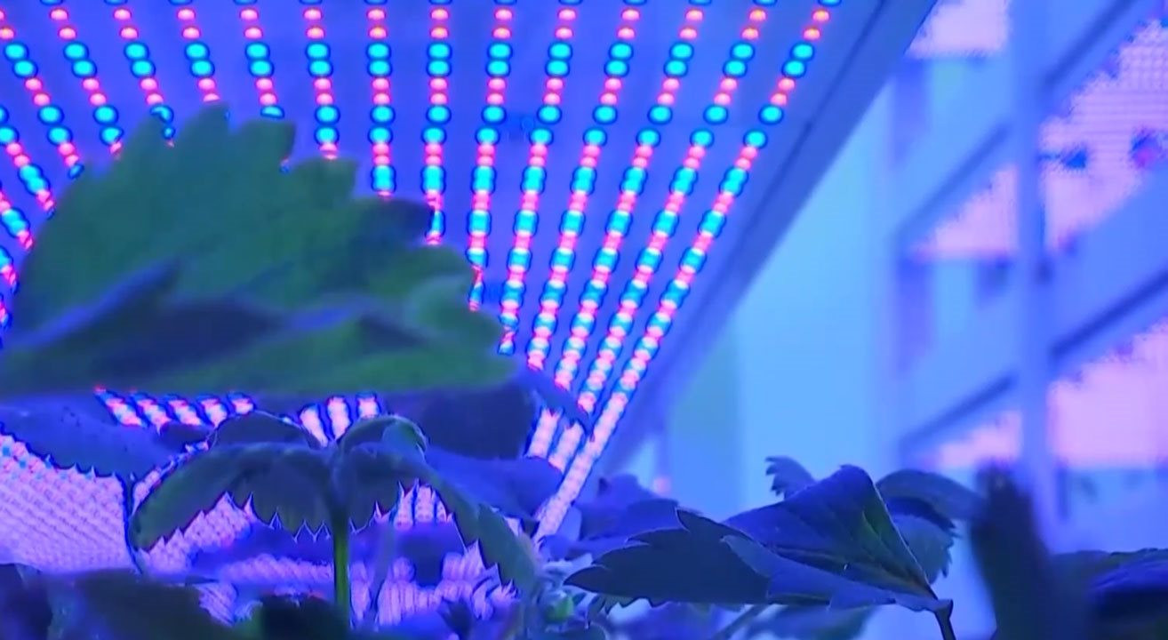 Cho robot đi…trồng rau, Trung Quốc lại gây ngỡ ngàng với trình độ công nghệ đỉnh cao khi ra mắt mô hình trang trại như ‘chung cư 20 tầng’ đầu tiên của thế giới- Ảnh 2.