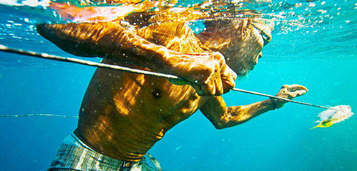 Bộ tộc dành khoảng 60% thời gian dưới nước mỗi ngày nhờ 'gen du mục biển'- Ảnh 1.