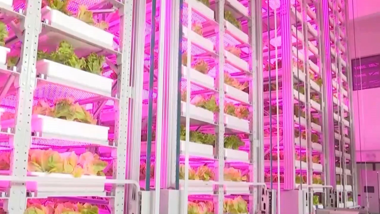 Cho robot đi…trồng rau, Trung Quốc lại gây ngỡ ngàng với trình độ công nghệ đỉnh cao khi ra mắt mô hình trang trại như ‘chung cư 20 tầng’ đầu tiên của thế giới- Ảnh 1.
