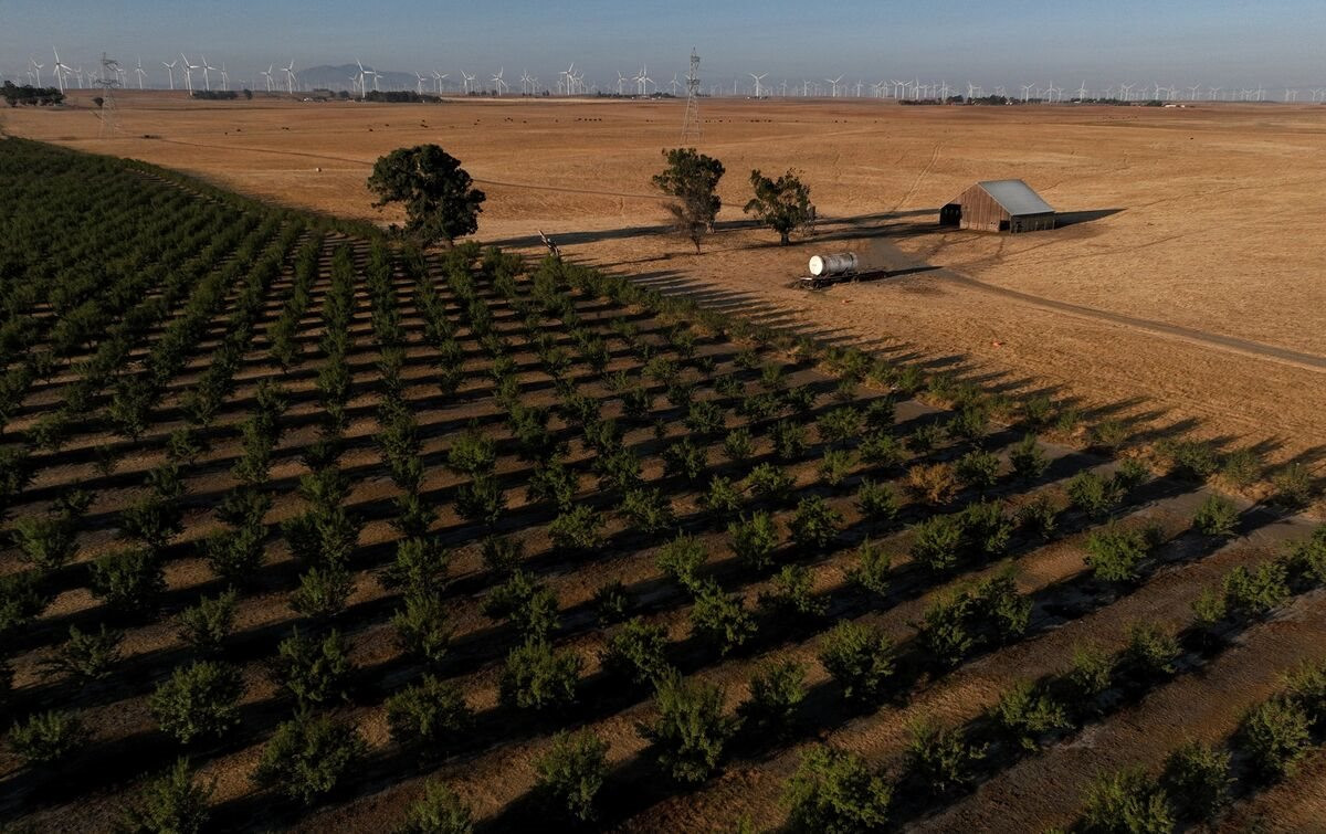 Âm thầm chi hơn 800 triệu USD mua đất nông nghiệp để làm dự án “không tưởng”, nhóm tỷ phú công nghệ Mỹ vấp phải phản ứng dữ dội- Ảnh 1.