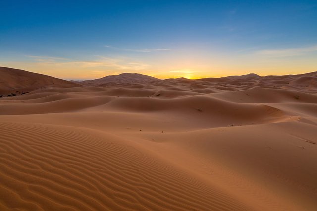 Chuyển Sahara từ rừng rậm thành sa mạc
